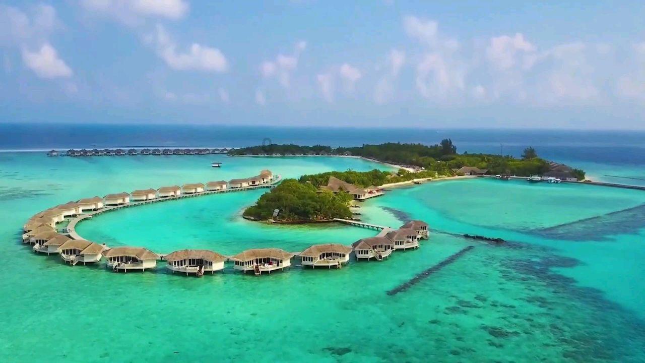 燃烧吧大脑免广告最新版