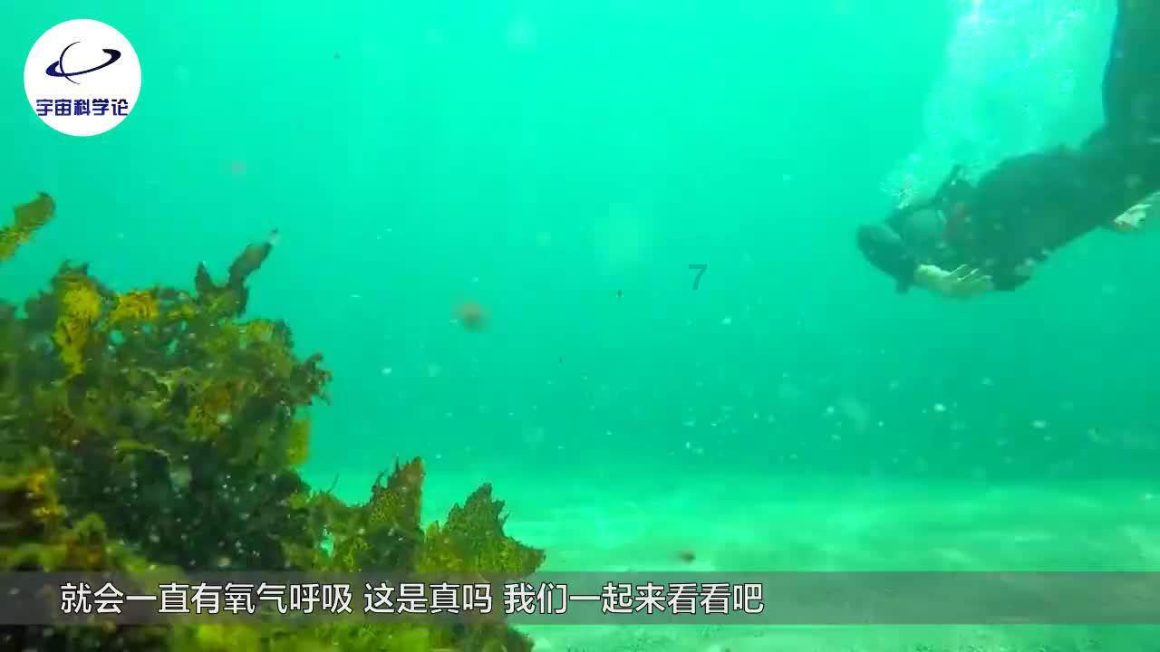 全民剧本大师内置菜单