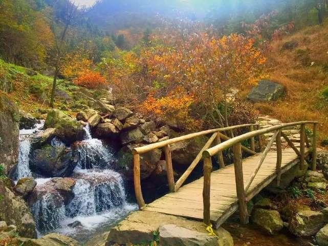 冷知识分享平台「我的国庆献词/中华历史五千年,源源流长到今天。炎帝黄帝是祖先,长江黄河是摇篮。秦王一统大中华,大元」,揭秘你不知道的小秘密