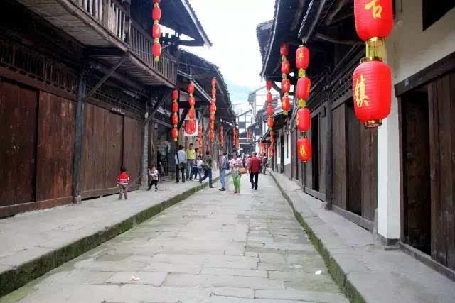 冷知识分享平台-发现不一样的日常喝什么水对身体好!
