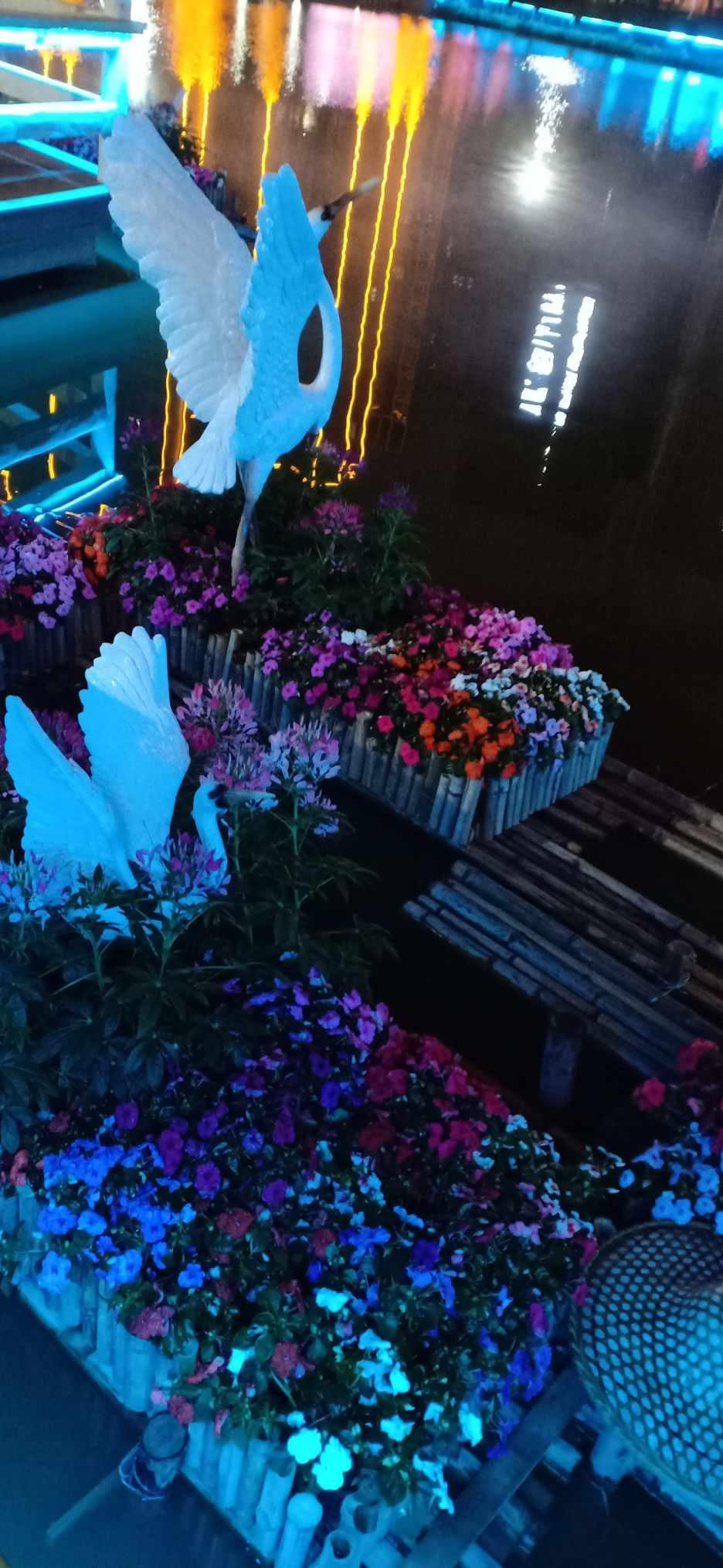 创作猫