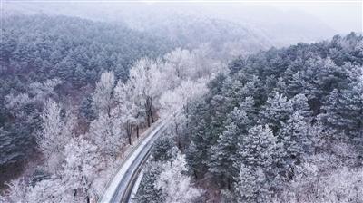 小猫钓鱼游戏龙王版有船